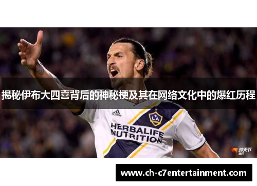 揭秘伊布大四喜背后的神秘梗及其在网络文化中的爆红历程