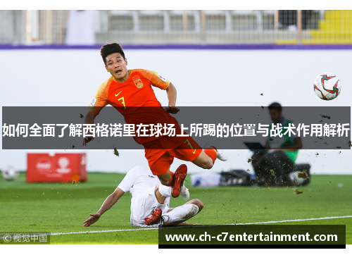 如何全面了解西格诺里在球场上所踢的位置与战术作用解析 如何全面了解西格诺里在球场上所踢的位置与战术作用解析