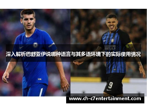 深入解析巴舒亚伊说哪种语言与其多语环境下的实际使用情况 深入解析巴舒亚伊说哪种语言与其多语环境下的实际使用情况